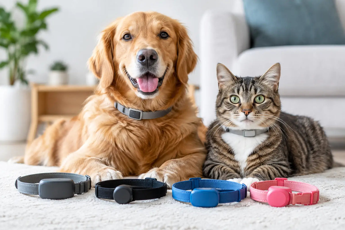 Best Flea Collars for Dogs and Cats Compared