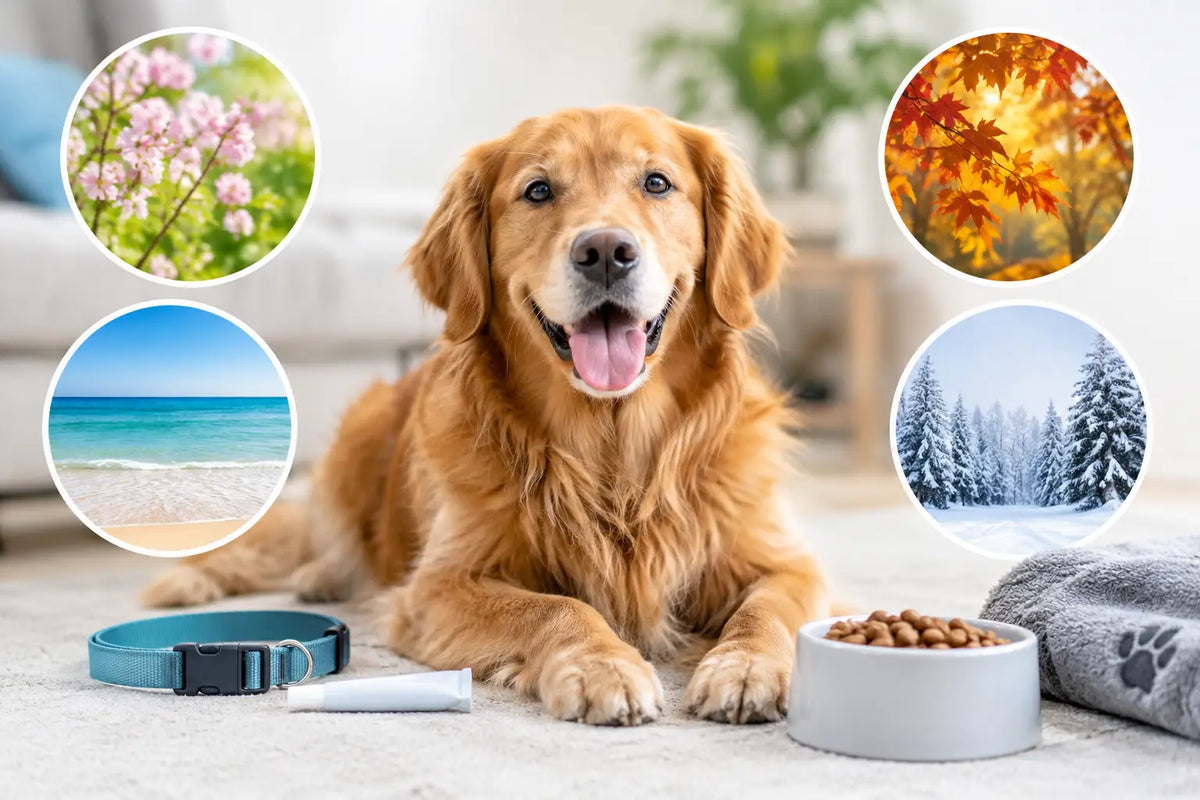 Dog Flea Prevention Guide for Every Season