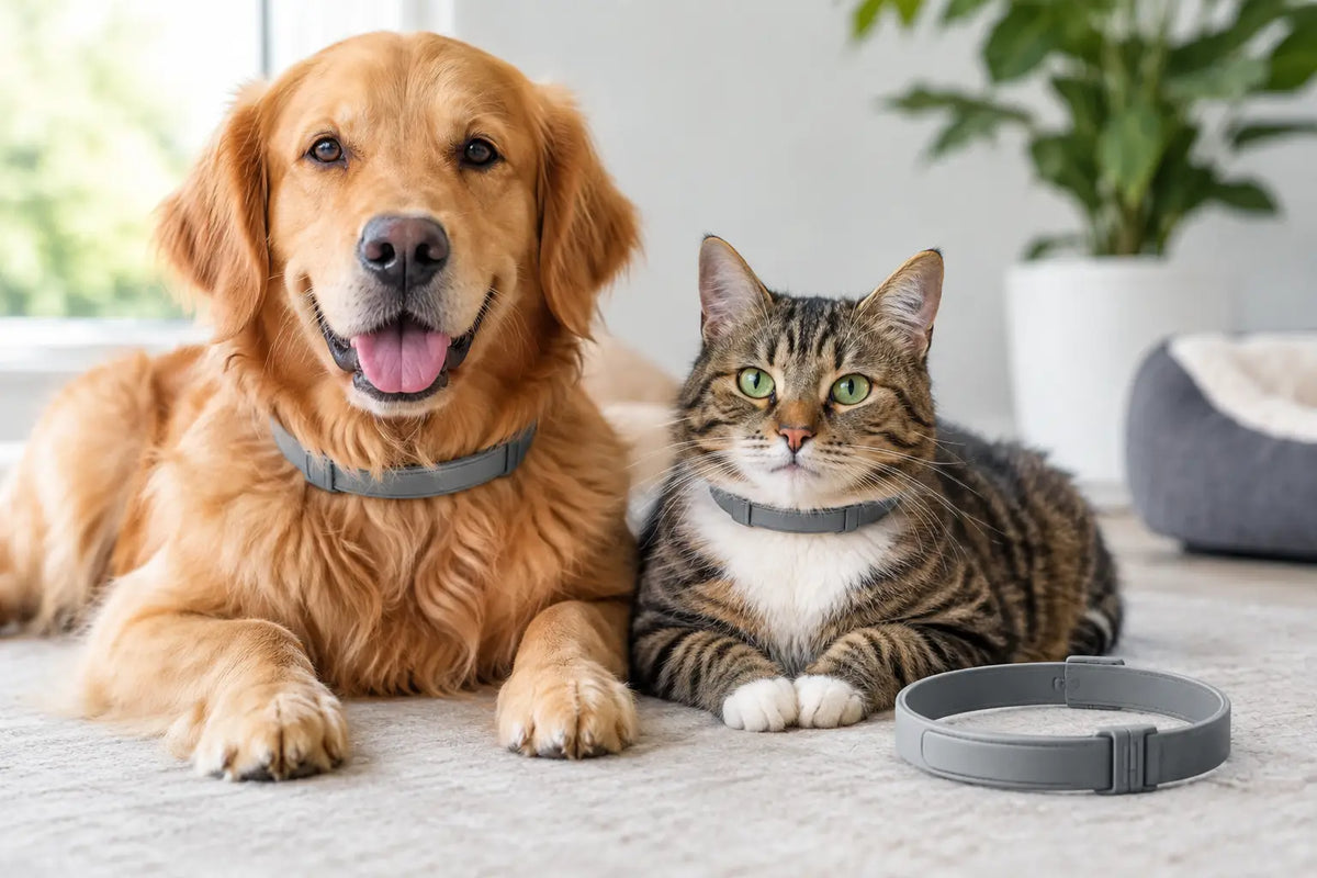 How Long Do Seresto Flea and Tick Collars Last?